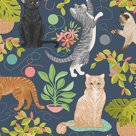 CURIOUS KITTYCATS        